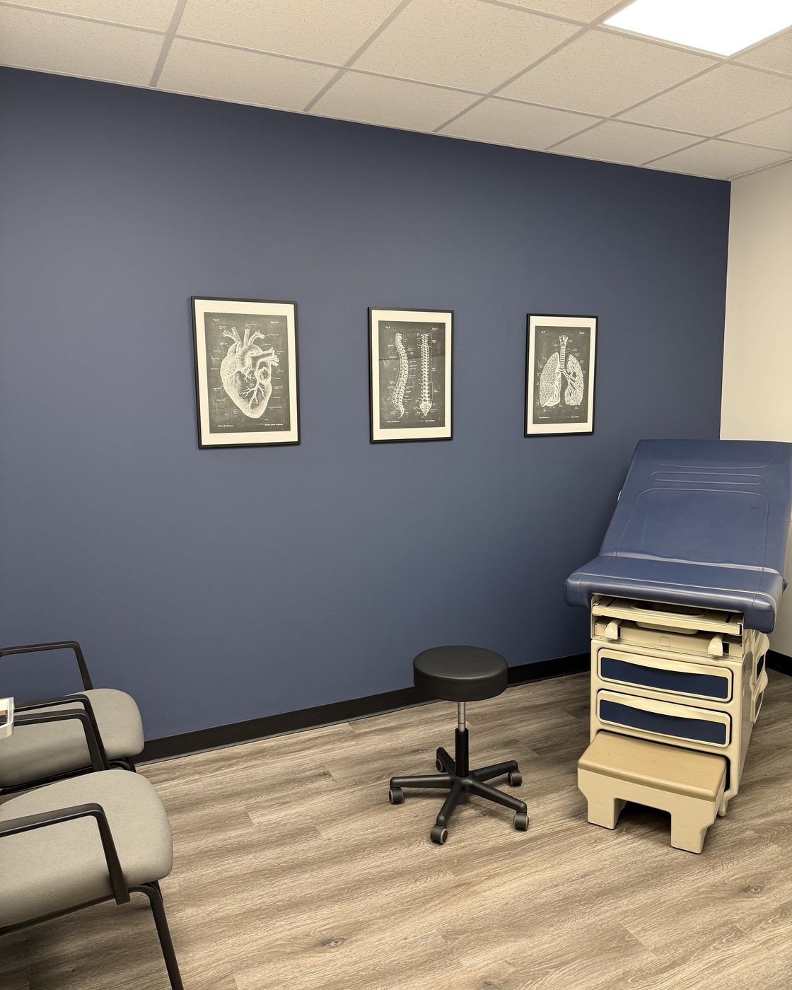 A FINISH exam room — navy wall with vintage anatomy prints